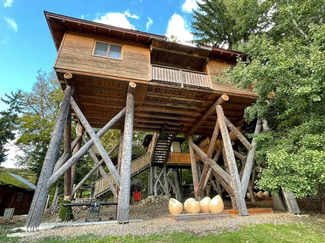 Baumhotel im Styrassic Park in Bad Gleichenberg