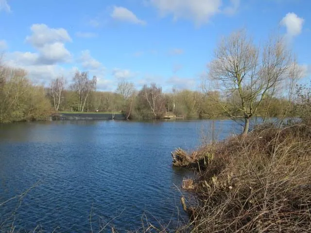 Cheshunt Lake
