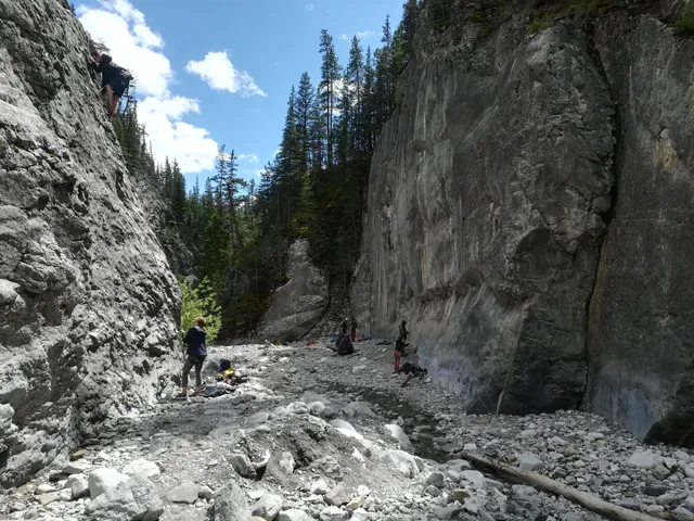 Municipal District of Bighorn