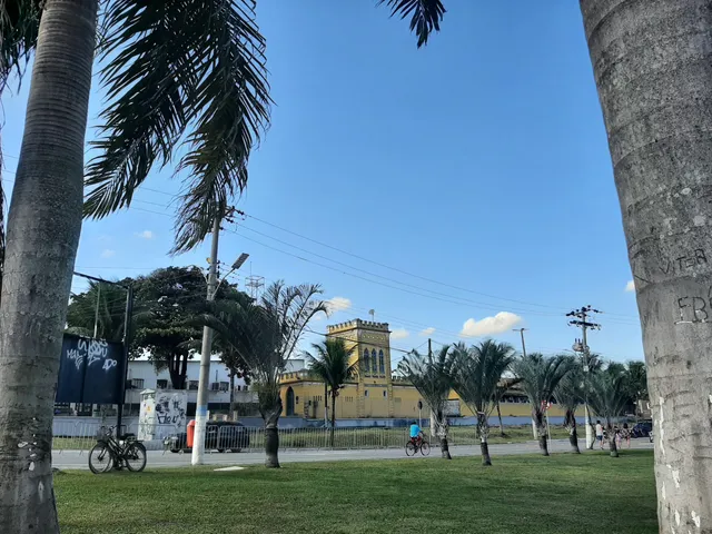 Municipal Park From Itaguai