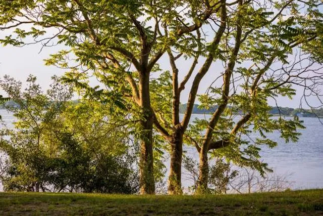 Goddard Memorial State Park Beach