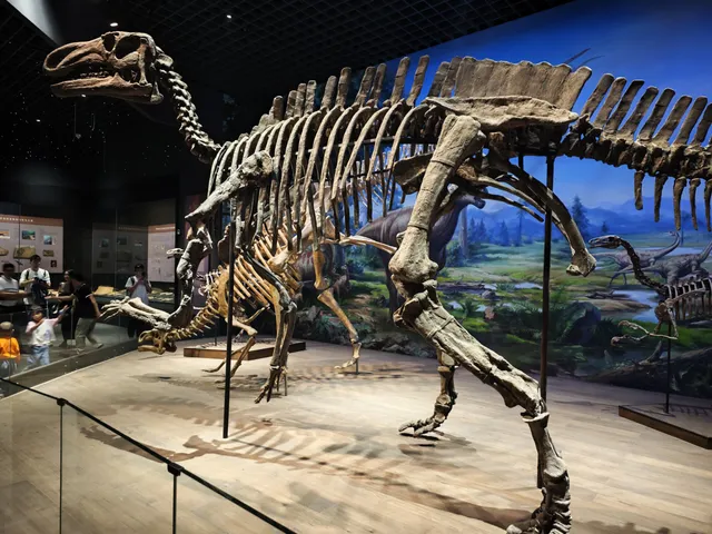 Inner Mongolia Museum