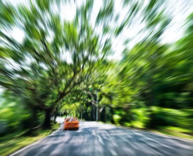 Japonés de Escobar Garden