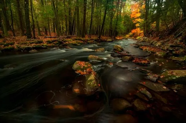 Mashamoquet Brook State Park