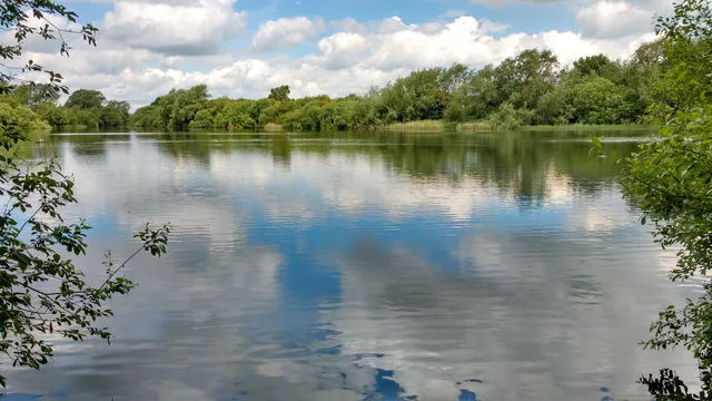 Oakhill Nature Reserve