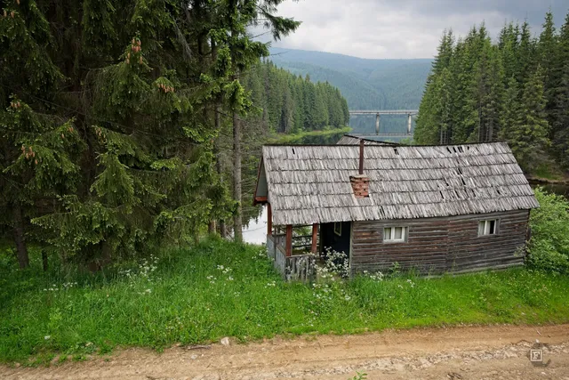 Cabana Cerbului - Pârâul Lacului Oasa