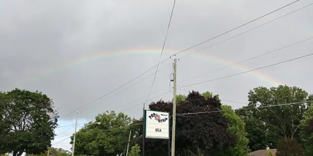 Trish's Pop In Again