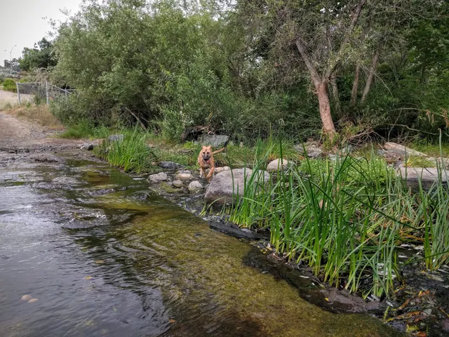 Trans County Trailhead (south)
