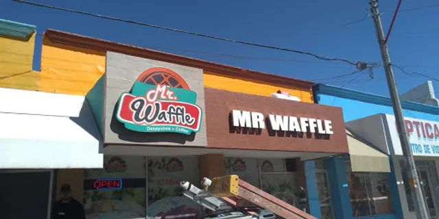 Mr Waffle Delicias