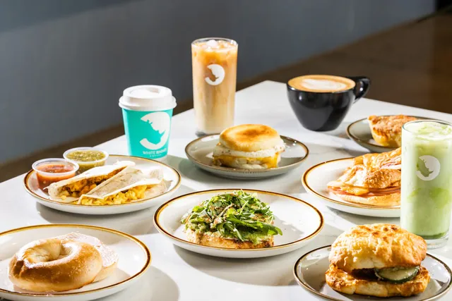 White Rhino Coffee - The Gild