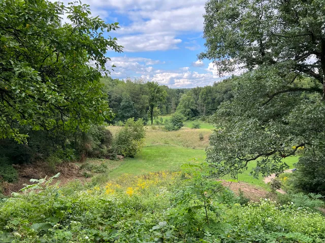 Lower Entrance to Nichols Arboretum