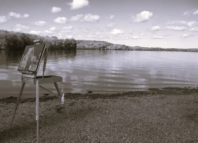 The Gallery In The Woods