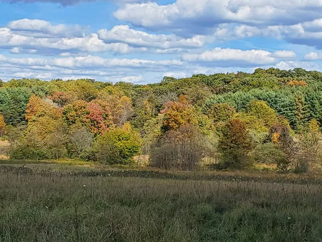 Green Farm Conservation Park