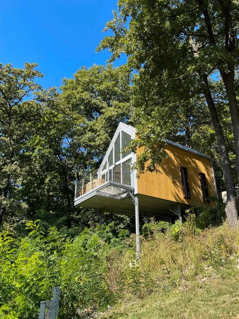 Noszvaj Sárga Rigó