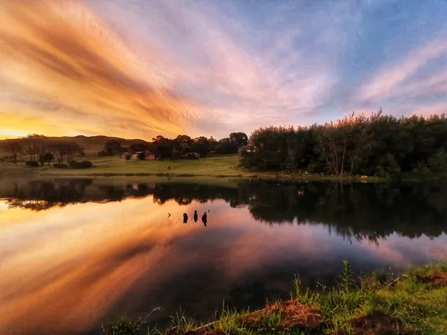 Lake Heron Game & Trout Farm