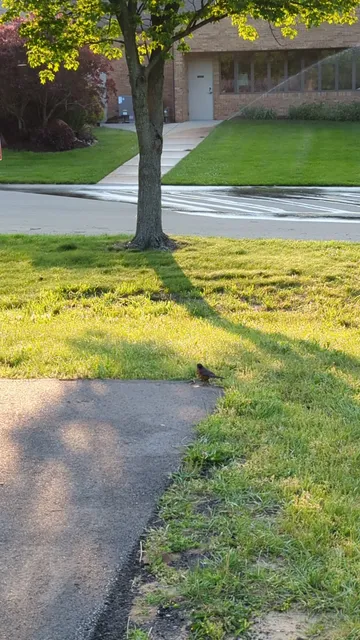 Cannon Township Center