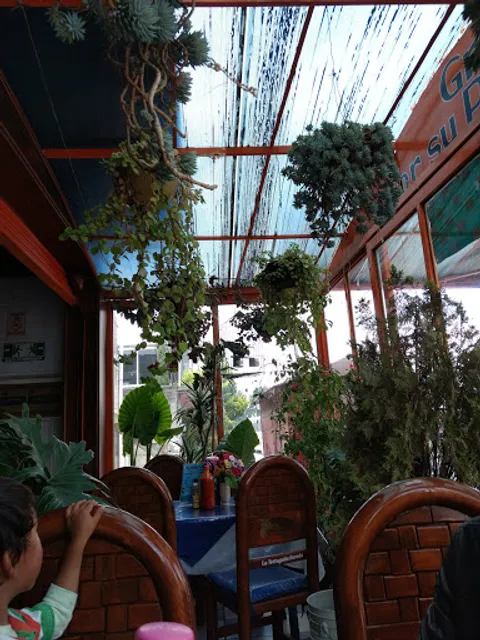 La Tortuguita Dorada