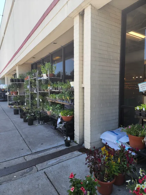 Montrose Shopping Center