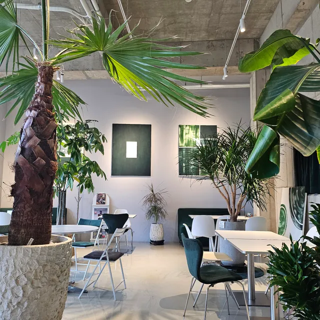 이스트라이트 East Light