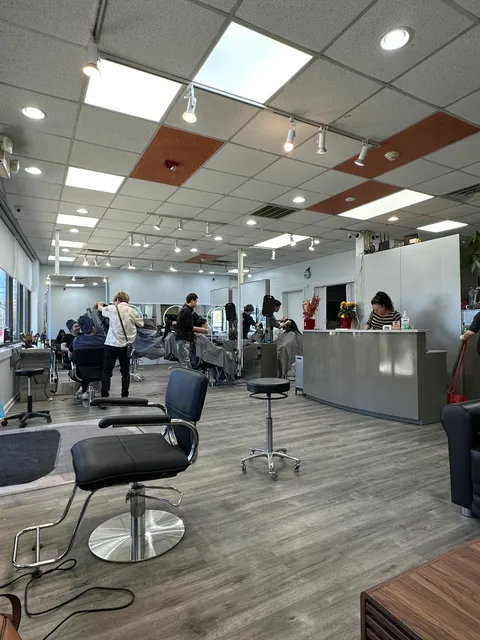 New Hair Culture and Beauty