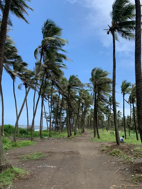 Navapur Beach Garden