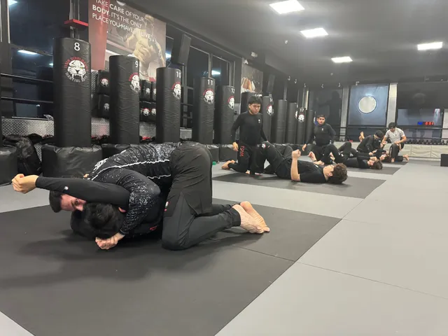 Tiger Schulmann's Martial Arts (Bay Ridge, NY)