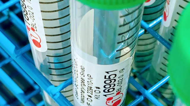 BioCollections Worldwide, Inc.