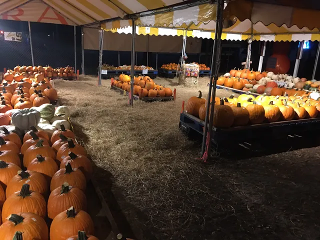 Dave's Pumpkin Patch