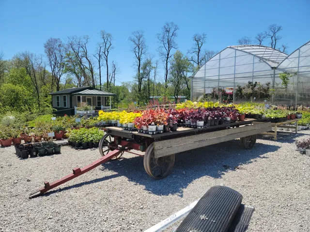 Beiler's Greenhouse