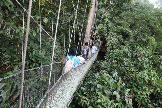 Poring Canopy Walkway