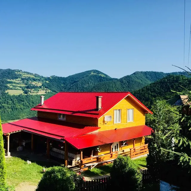 Cabana Goia Paltinei