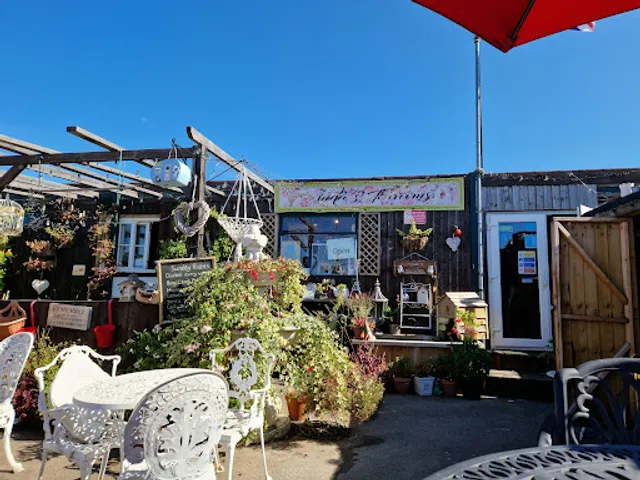 Shells marina tearoom