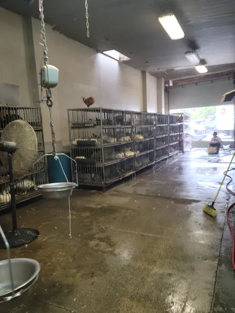 One-Stop Live Market