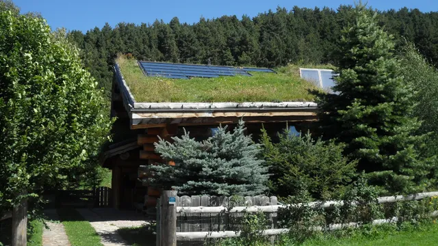 CHALET LES ARTIGUES: Location grand chalet rondin de bois 12 personnes