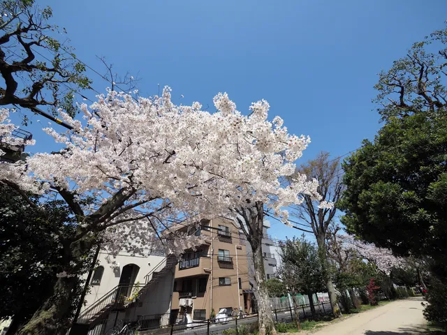 Tamagawa Aqueduct Greenway