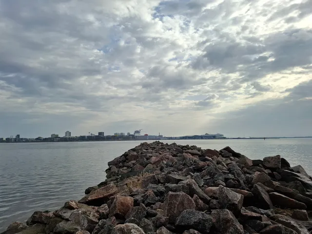 Veijarivuori dog park