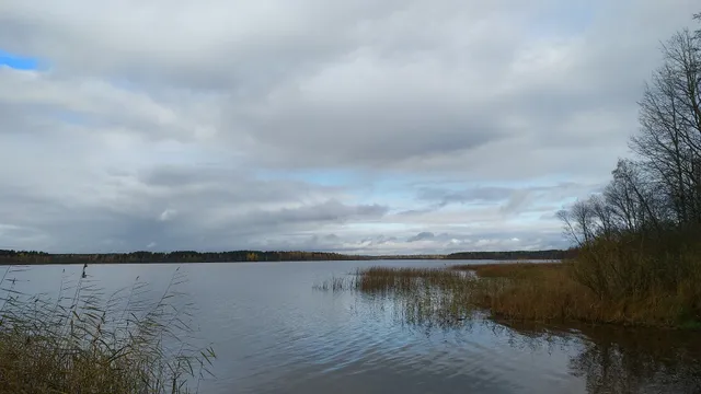 Куйвозовское сельское поселение