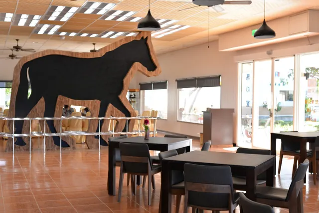 York Horse Riding Club