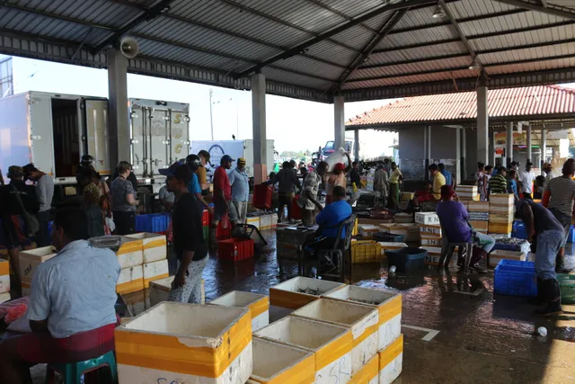 Negombo Fish Market