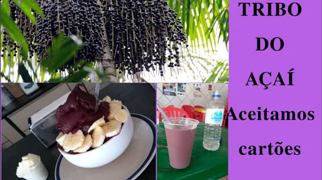 Tribo Do Açaí