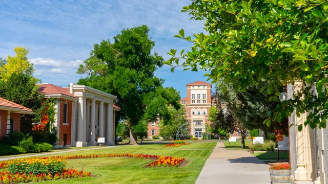 Rocky Mountain College of Art + Design