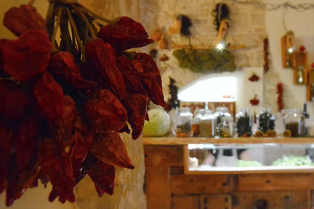 Cucina Villana - cucina etnobotanica