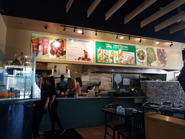 Oasis Mediterranean Cuisine