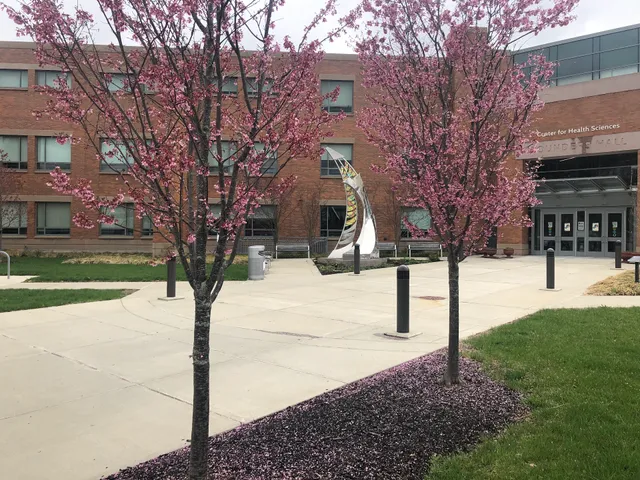 Naugatuck Valley Community College