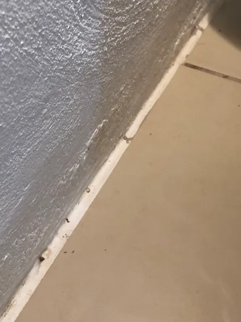 Jara Rooms Playa Herradura