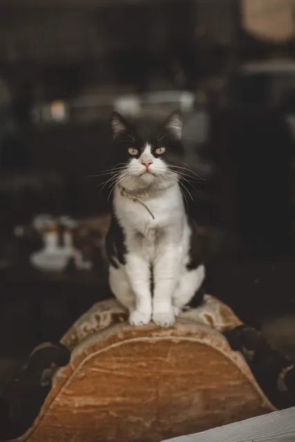 Prairie Sky Jewelry Co