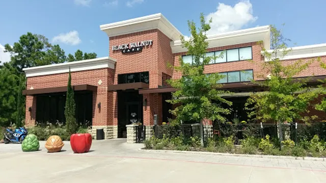 Black Walnut - The Woodlands