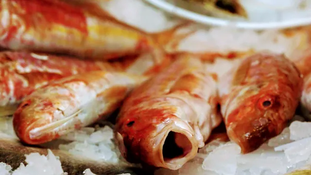 Kordon Ümitköy Balıkçısı