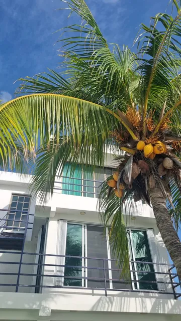 Seaside Sunrise Haven