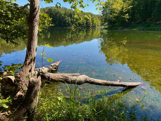 Montgomery Bell Trailhead